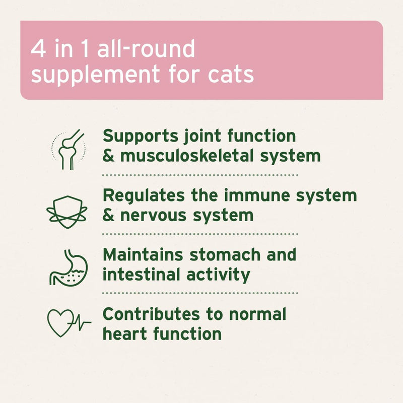 AniForte 4in1 Complete Cat 60 g – Complete Care for Cats, Rich in Antioxidants, Vitamins, Minerals, Powder with Taurine, Collagen for Joints, Nervous System, Immune System, Gastrointestinal Support