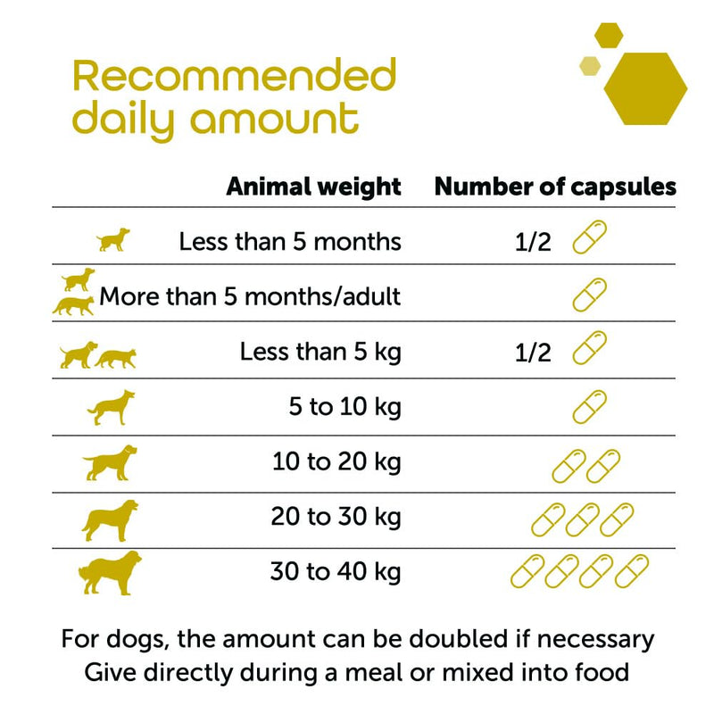 MP Labo Ultradiar® 20 Capsules - Digestive Function Support for Dogs and Cats