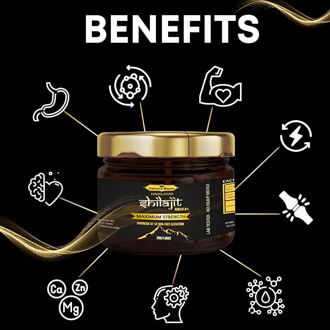 Nature Blaze Himalayan Shilajit Resin (30 Gm / 1.0 Oz) - BeesActive Australia