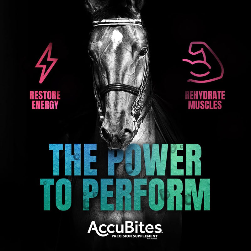 Manna Pro AccuBites Replenish Equine Supplement – Hydration & Immune Support Supplement for Horses – Contains Vitamin E & Turmeric – Turmeric & Molasses Flavored – 1.6 lbs - BeesActive Australia