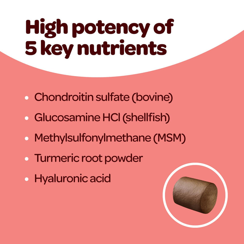 Hip and Joint Chews for Dogs | Dog Glucosamine Chews for Comfort & Mobility with Chondroitin MSM & Turmeric | Dog Joint Supplement for All Ages & Sizes | NASC Certified & Made in The USA | 60 Chews Hip and Joint 60 Count