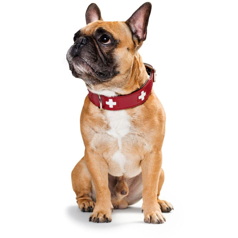 HUNTER SWISS Dog Collar, Leather, High Quality, Swiss Cross, 60 (M-L), Red/Black 60 (M-L) Collar