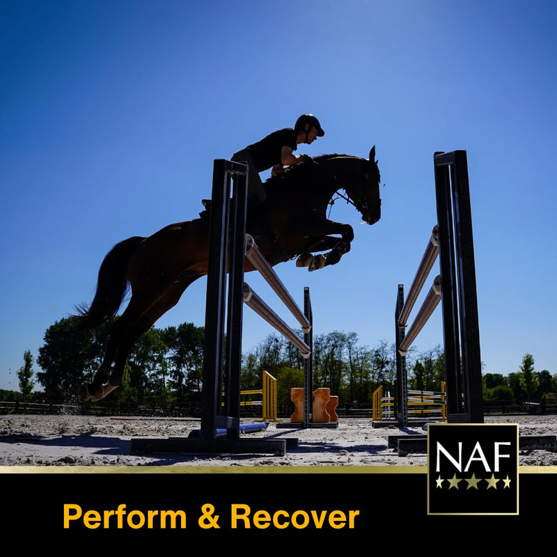 NAF EnerG Shot Syringes 3 x 30ml – Fast-Acting Iron & B Vitamin Boost for Horses – Supports Stamina, Recovery & Performance – Oral Paste Supplement