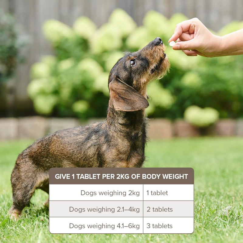 Beaphar One Dose Wormer for Small Dogs 3 Tablets (Pack of 3)