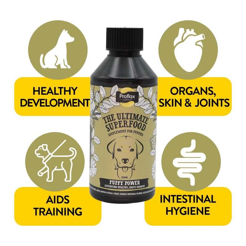 Proflax Natural Puppy Power Supplement, 100ml - Supports Healthy Bones, Joints, Skin & Heart for Puppies - Includes Calming Properties to Support Behaviour & Training - Fast Acting & Vet Approved