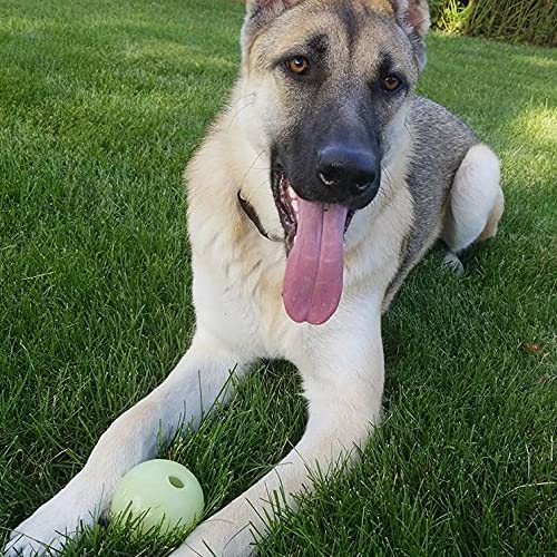Chew King Glowing Fetch Ball, Dog Ball Toys, 2.5" 2-Pack Balls 2.5" Balls/ pack of 2 - BeesActive Australia