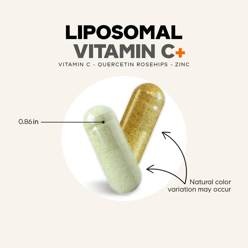 Codeage Liposomal Vitamin C 1500mg with Zinc, Elderberry, Citrus Bioflavonoids Grapefruit, Lemon, Orange Powder, Quercetin & Rose Hips Fruit – Vegan Supplement - Non-GMO, Vegan Pills - 2 Pack
