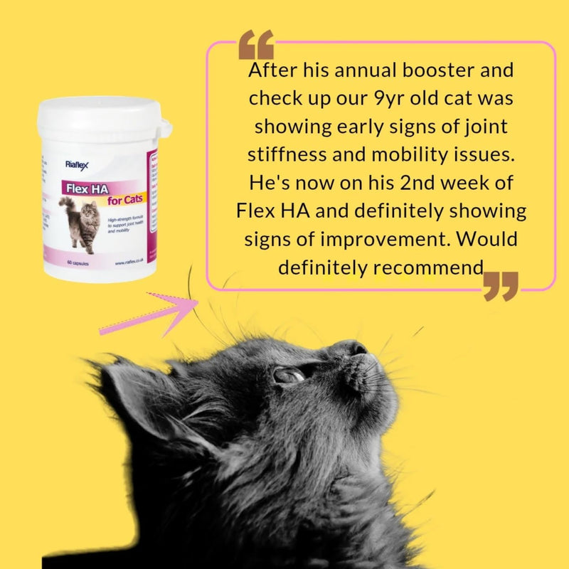 Flex HA for Cats | Max Strength combination of Glucosamine, MSM, Green Lipped Mussel & Hyaluronic Acid, with added antioxidants designed to soothe stiff joints, aid mobility - 60 capsules