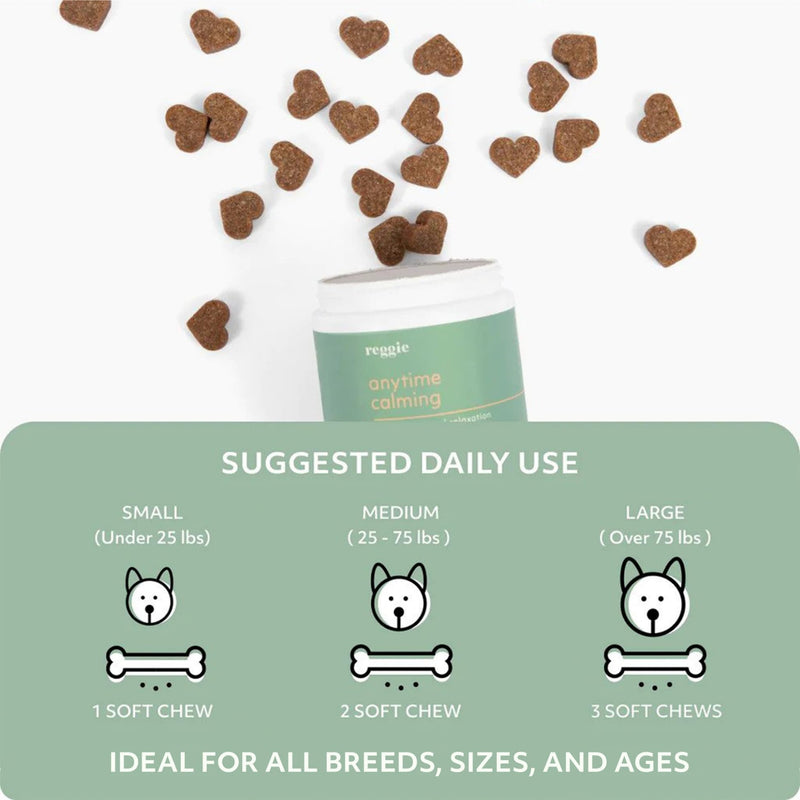 Reggie Anytime Calming Chews for Dogs | Natural Calming Dog Treats to Reduce Hyperactivity, Separation Anxiety, & Stress | Vet-Approved & Ideal for All Ages, Breeds, and Sizes - 60 Soft Chews 60 Count - PawsPlanet Australia