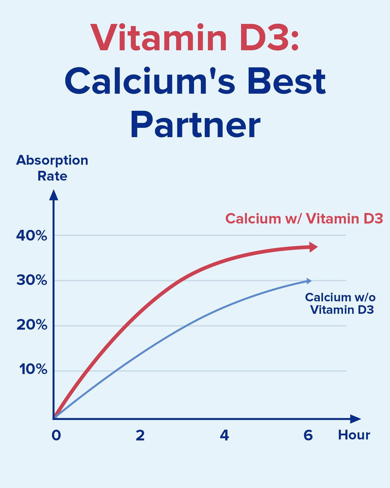 Terranics Calcium 1200 mg with Vitamin D3, High Absorption Calcium Supplement for Women and Men, Supports Bone, Teeth & Immune Health, Easy-to-Swallow Coated Tablets, 90 Count 90 Count (Pack of 1)