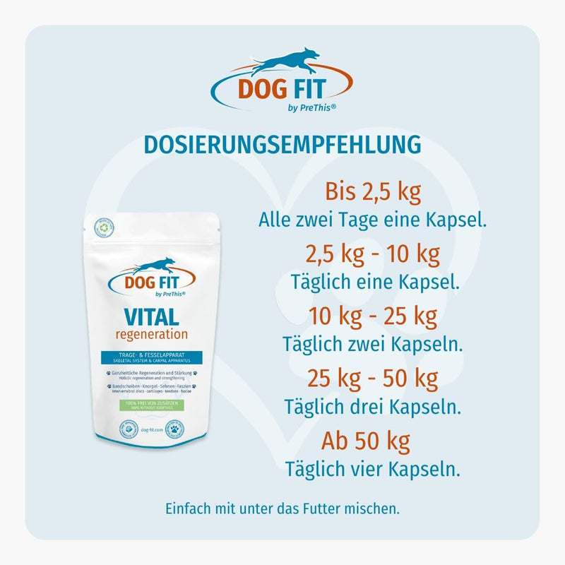 DOG FIT by PreThis® VITAL Regeneration for dogs I Strengthening the intervertebral discs, for herniated discs, weak tendons and ligaments, cartilage wear and after operations I Free from additives - BeesActive Australia