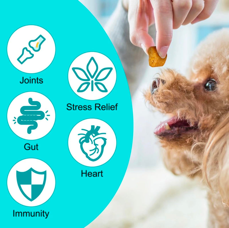 Szymoney Improved Hemp Calming Chews for Dogs, 150 Count, Stress and Anxiety Relief, with Chamomile and Valerian Root, 330g (Duck)