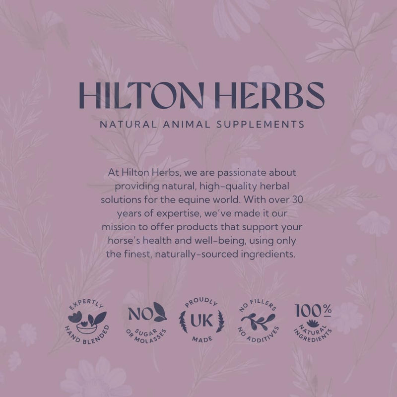 Hilton Herbs Detox Gold 1 Litre 0.2 g (Pack of 1)