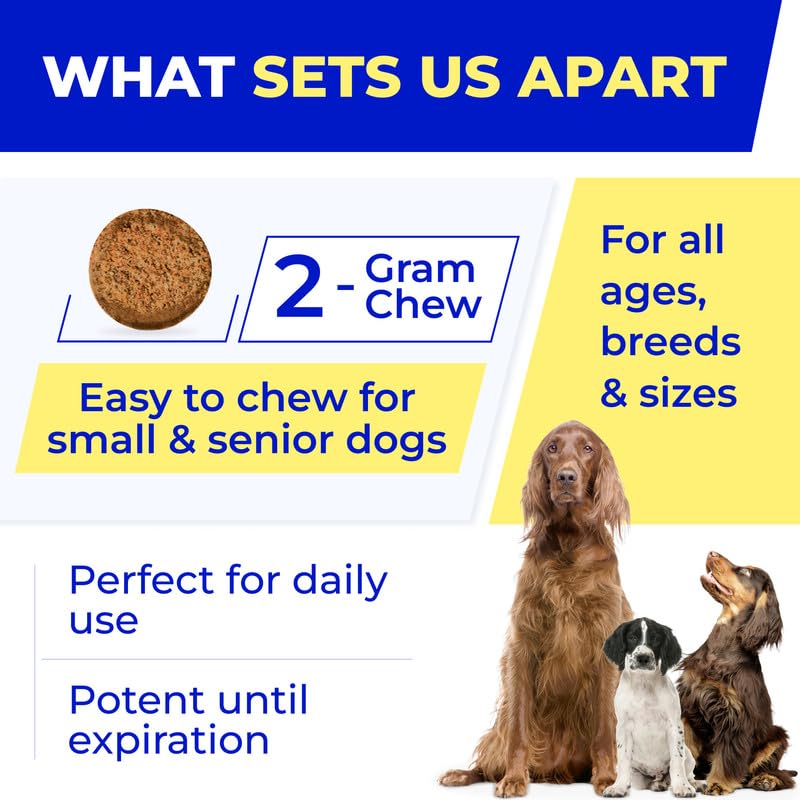 Probiotics for Dogs + Digestive Enzymes - Omega and Pumpkin - Gut Health and Immune Support -Relieves Diarrhea,Gas,Constipation,Improve Digestion - Made in USA - 120 Soft Chews - Chicken and Liver - BeesActive Australia