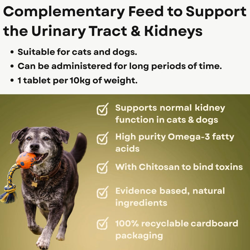 Renal Complementary Feed for Cats and Dogs | 30 Tablets | Helps and Maintains Renal Disorders | Supports the Urinary Tract