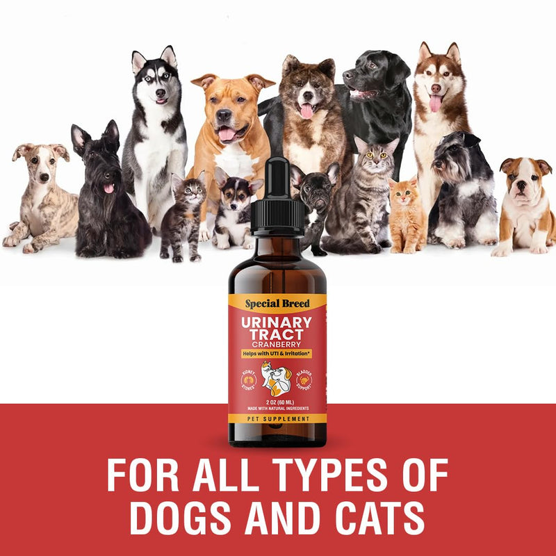 Urinary Tract Infection Treatment for Cats and Dogs - Cranberry UTI Supplement, Kidney and Bladder Support, 2 oz 2oz - BeesActive Australia