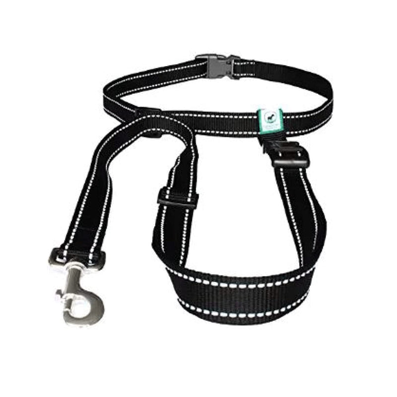 Caldwell's Pet Supply Co. Hands-Free Dog Leash, Adjustable Waist Leash for Dog Walking, Non-Bungee, Hands Free Harness, Durable and Versatile Waist Belt Leashes, Cross Body for Dogs (26" - 47") - BeesActive Australia