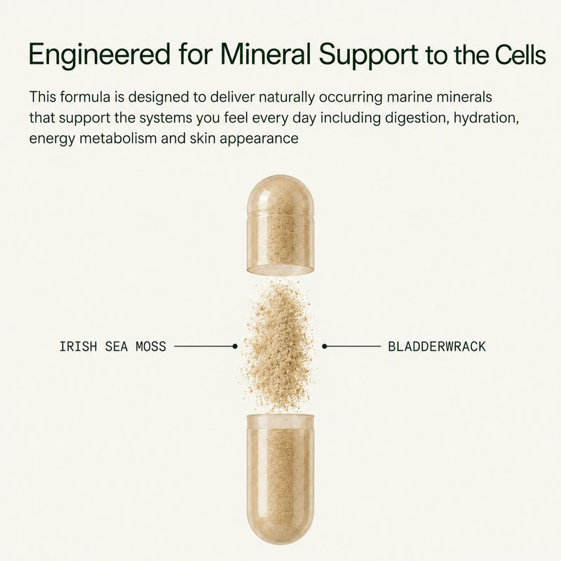 Dr. Sebi's Sea Moss Capsules with Bladderwrack, 1,250mg – Authentic Alkaline Irish Sea Moss for Immune Support, Energy & Joint Health – Wildcrafted, No Fillers – 1 Month Supply (88 Capsules)