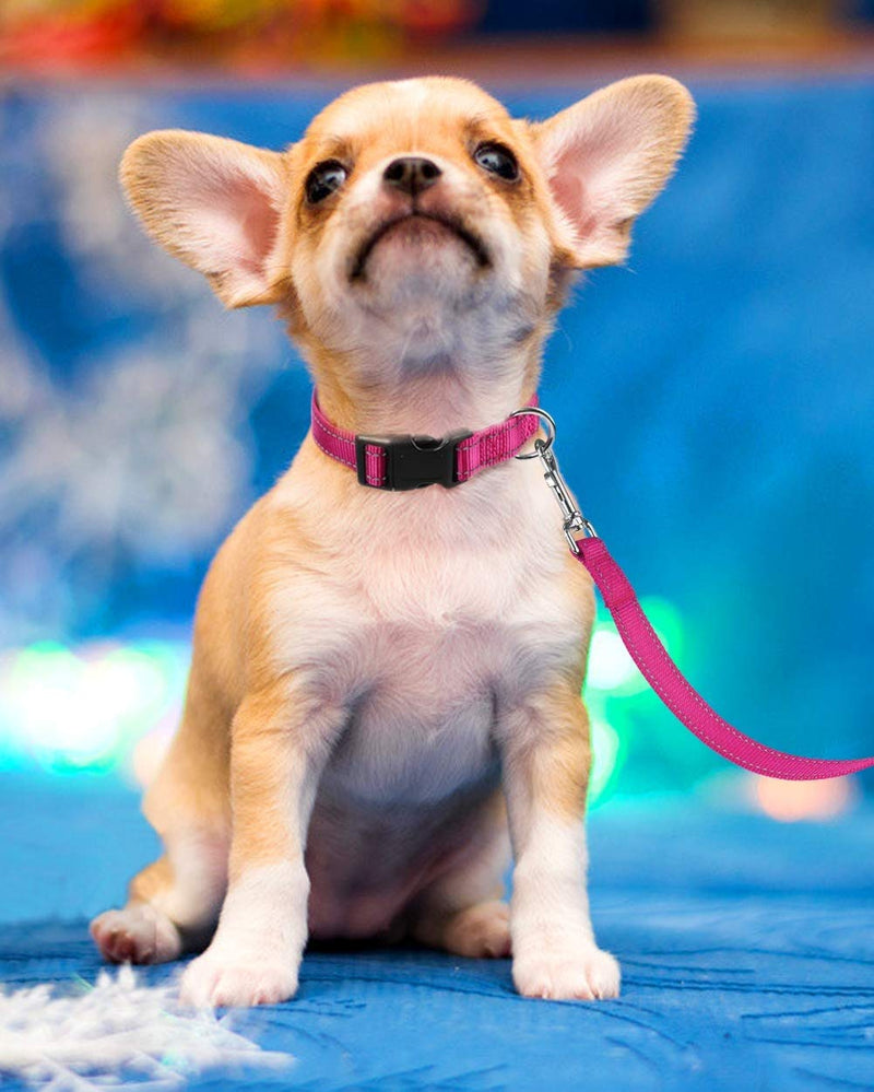 Reflective Dog Collar with Buckle Adjustable Safety Nylon Collars for Small Medium Large Dogs, Pink S Hotpink Small :Width 5/8",Neck 10-14" - BeesActive Australia