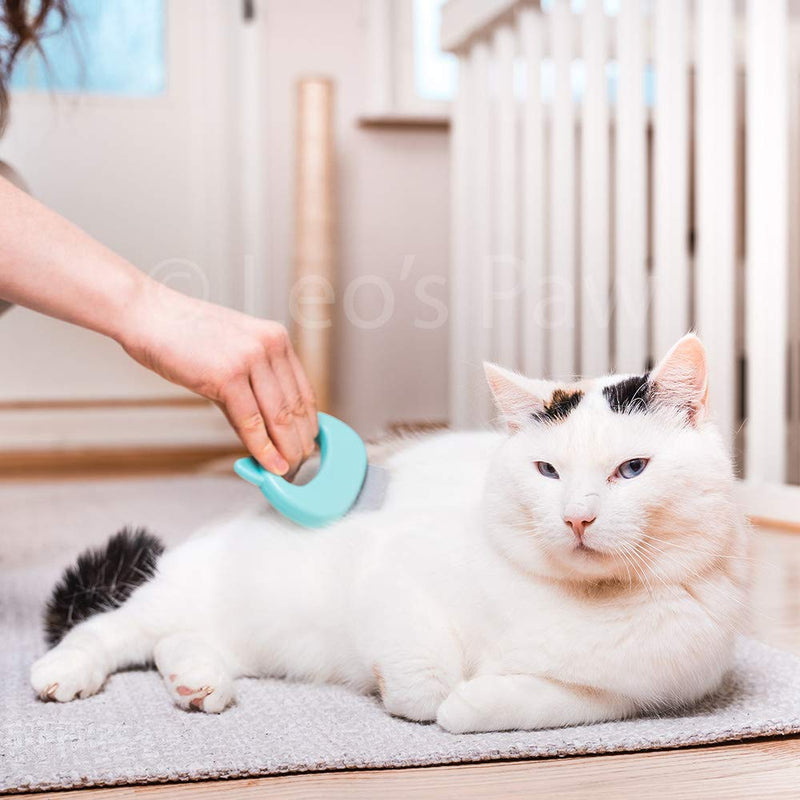 Leo's Paw The Original Pet Hair Removal Massaging Shell Comb Soft Deshedding Brush Grooming and Shedding Matted Fur Remover Dematting tool for Long and Short Hair Cat Dog Puppy Bunny (Mint) Mint - BeesActive Australia