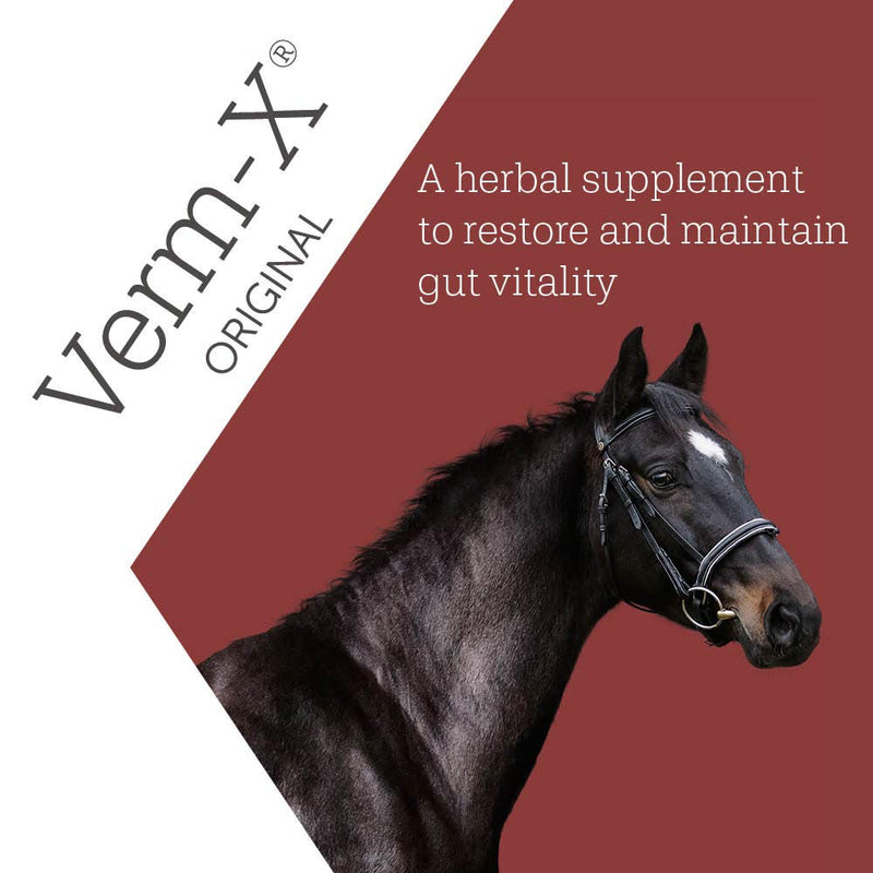 Verm-X All Natural Powder for Horses and Ponies. Supports Intestinal Hygiene. Vet Approved. UFAS Assured. Restores and Maintains Gut Vitality. Wormwood Free Recipe.