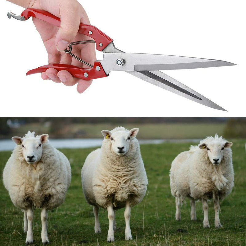 Akozon sheep scissors, manual sheep scissors, sheep scissors, hand sheep wool scissors, stainless steel hand scissors, goats and sheep wool trimmer, sheep scissors, wool scissors with spring - BeesActive Australia