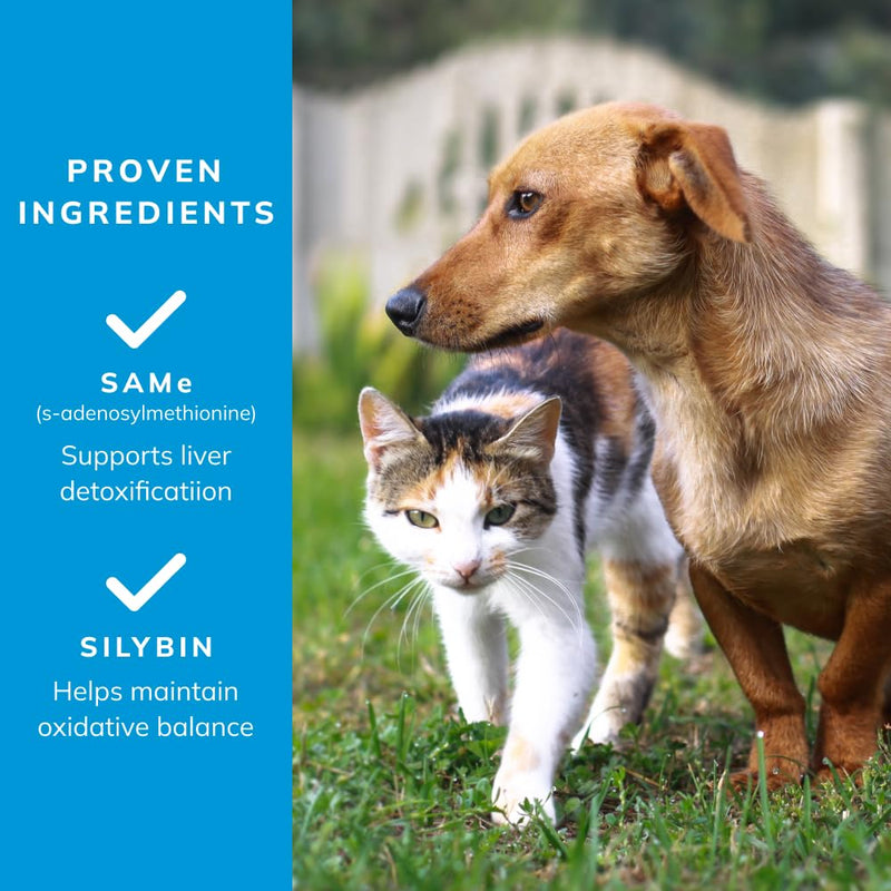 Same Pro Liver Support for Small Dogs and Cats, 90mg, Purple, Up to 12 lb - PawsPlanet Australia
