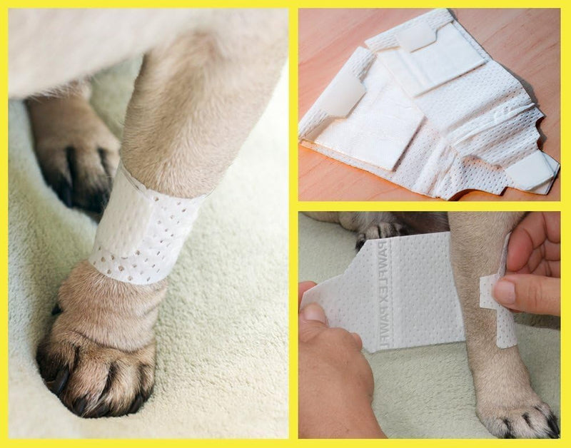 Basic leg bandages for dogs, cats, pets -First- aid non adhesive fur friendly, soft stretch wound care, hot spots, fungus, ADJUSTABLE FASTENING STRAP Value pack (2XS/XS 12-Pack) 2XS/XS 12-Pack - BeesActive Australia