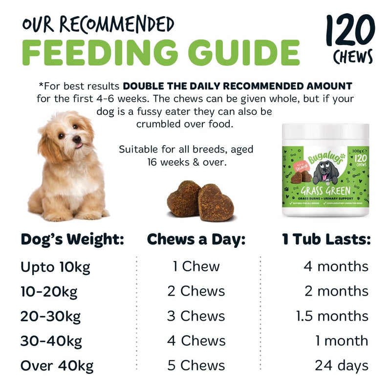 Bugalugs Grass Green Dog Supplement Chews helps support Dog Urine Neutraliser for Grass Burn with Cranberry that helps Urinary & Gut Health, Rich in Salmon, 120 Chews 300g (Pack of 1)
