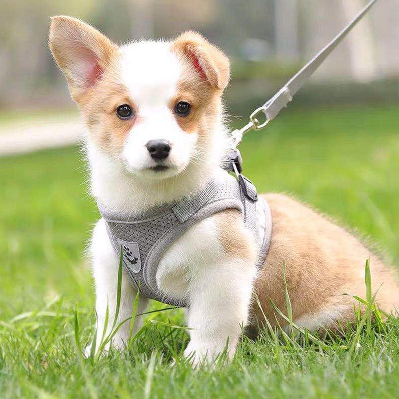 FEimaX Dog Harness and Leash Set for Walking, Soft Mesh Adjustable Easy Control Lightweight Cat Vest Harnesses with Reflective Strips, Escape Proof Small Dogs Cats Vests (Grey, X-Small) Grey - BeesActive Australia
