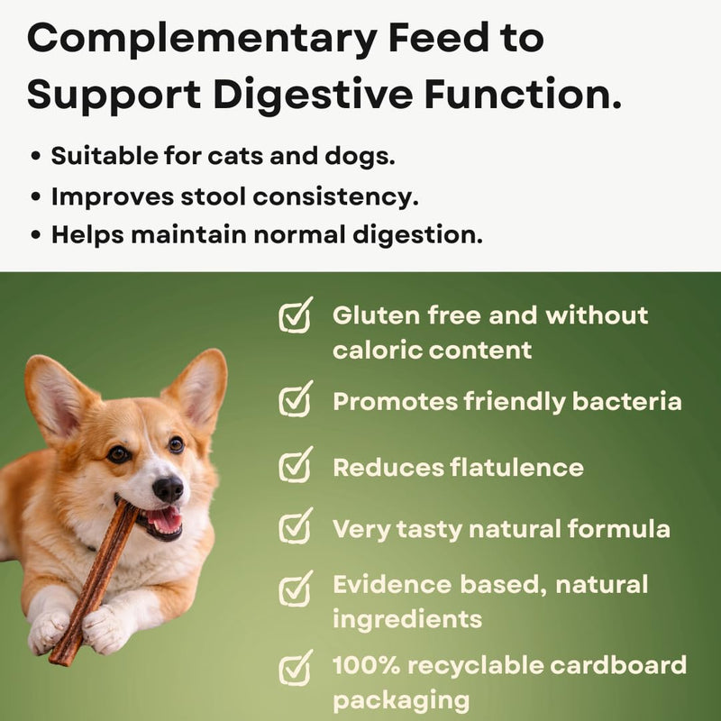 Entero Paste for Digestive Function in Cats and Dogs 15ml | Helps Maintain Normal Digestive Function | Promotes Friendly Bacteria