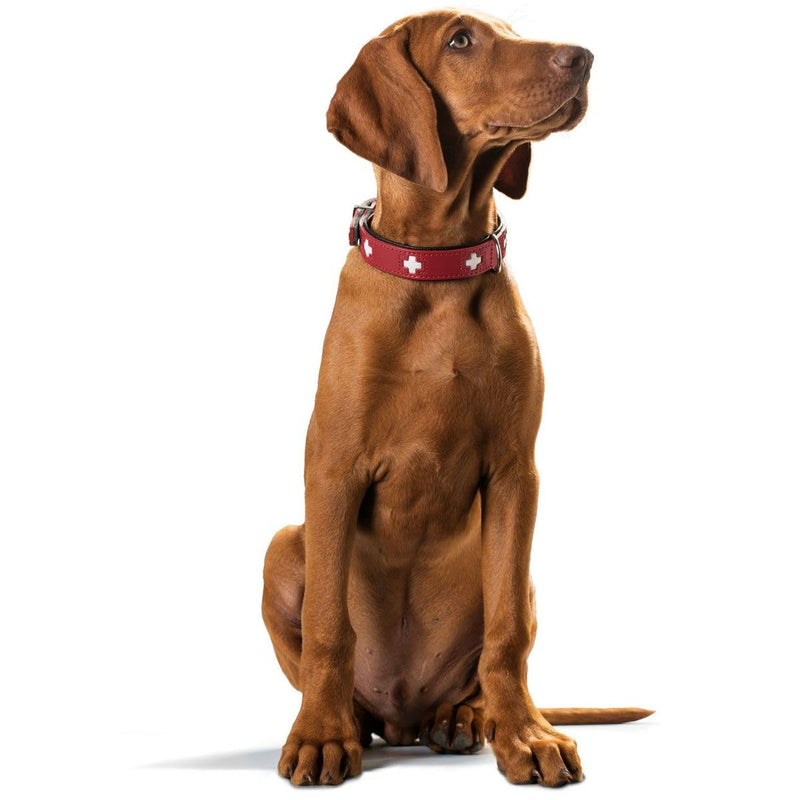 HUNTER SWISS Dog Collar, Leather, High Quality, Swiss Cross, 60 (M-L), Red/Black 60 (M-L) Collar