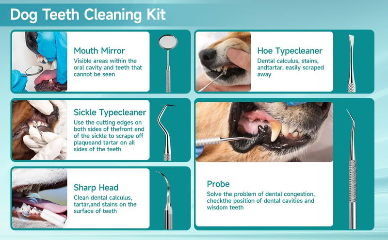 BRAVECOW Pet Plaque Remover Kit, Dog & Cat Dental Tool for Tartar Removal with LED Light, Teeth Cleaning Brush