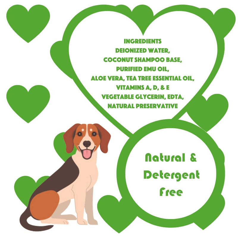 Natural Dog Shampoo, Tea Tree Relief, 17oz - PawsPlanet Australia