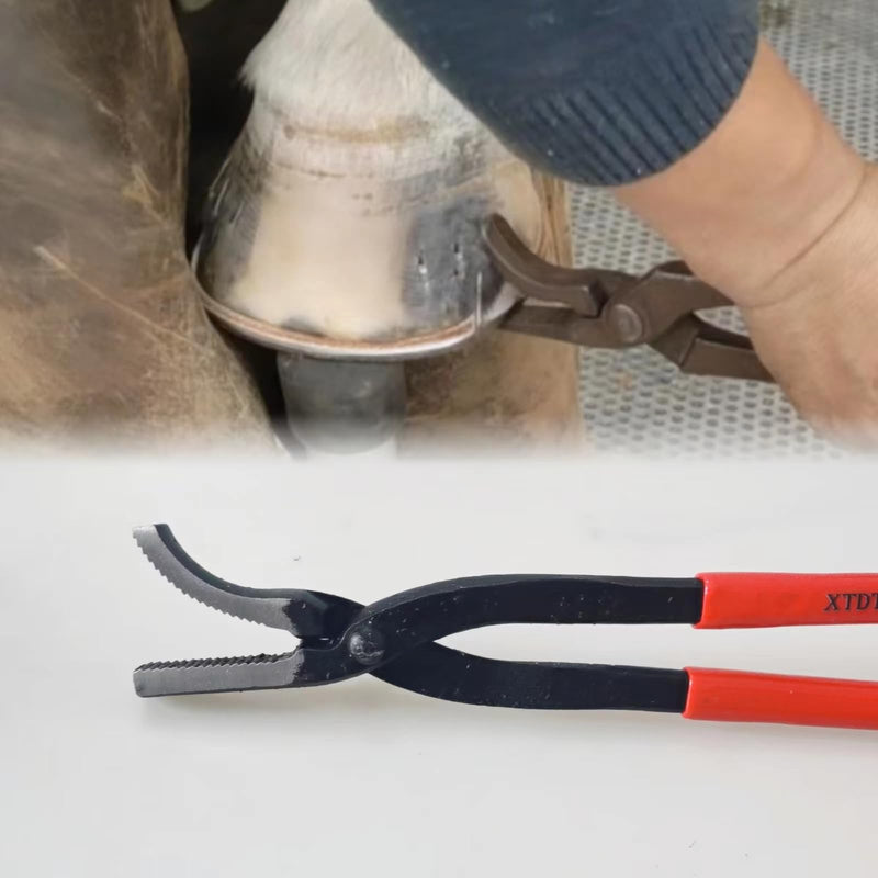 Shoe Blacksmith's Horseshoe Repair Tool, Nail Palm, 14 inch Pressure Nail Pliers, Equestrian Equipment - BeesActive Australia
