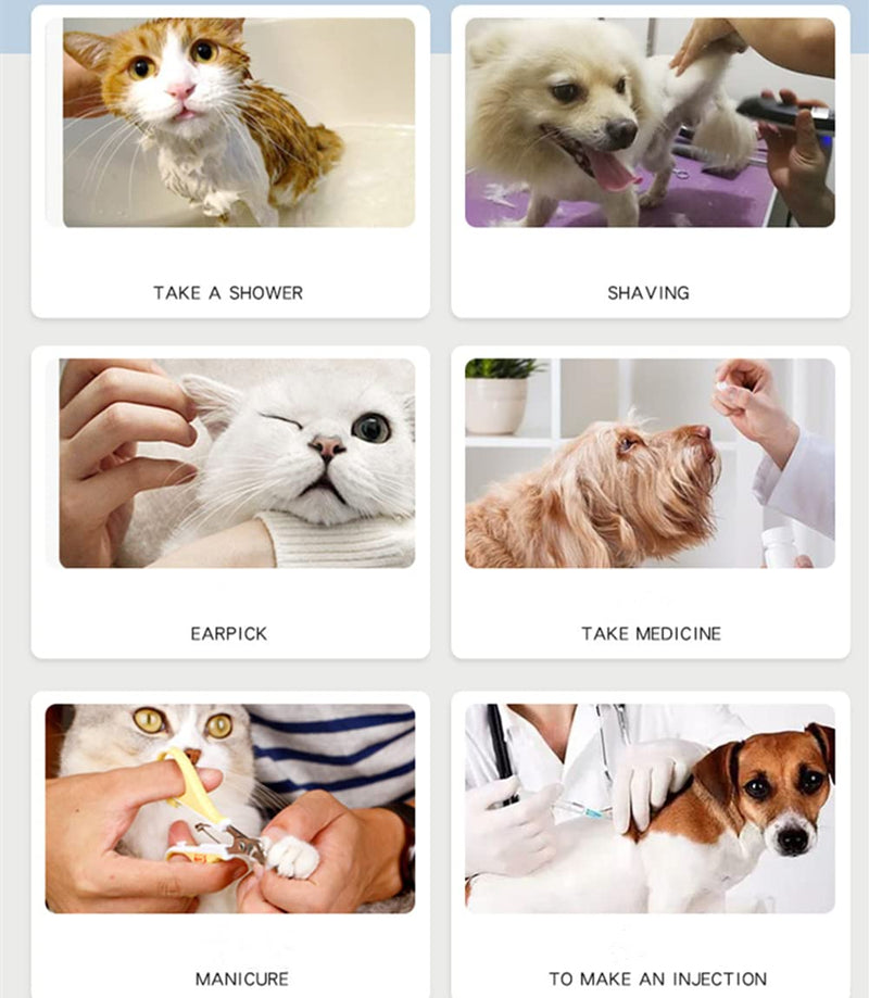 Zerodis Pack of 100 Cat Nail Cover Protector, Soft Pet Nail Cover Safe Anti Scratch Dog Paw Claw Protector Covers Claw Care for Cats Dogs (M-White) M white - BeesActive Australia