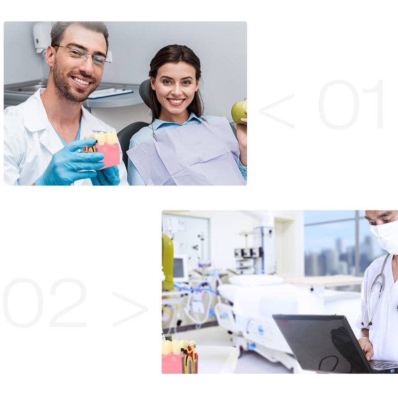 ANNWAH Dental Caries Teeth Model,Dental Anatomy Education Tooth Model,6 Times Caries Teaching Typodont Tool for Dentists, Patients, Teachers and Students - BeesActive Australia