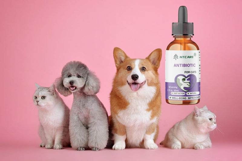 Antibiotics for Cats, Natural Antibiotic Pet Supplements Supports Immune & Cats Allergy Relief, Cat Multivitamin UTI Drops for All Ages & Breeds of Cat, Fish Flavour - 2 Fl Oz / 1 Pack