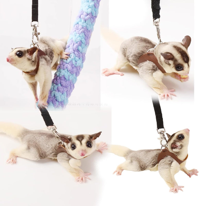 MANON ROSA Sugar Gliders Harness Leash Set - 3 Pcs Training Walking Gear Small Animal Adjustable Traction Ropes Vest for Squirrels Hamsters Rats Gerbils Reptiles Bearded Dragon Lizards Black 01 Black - BeesActive Australia