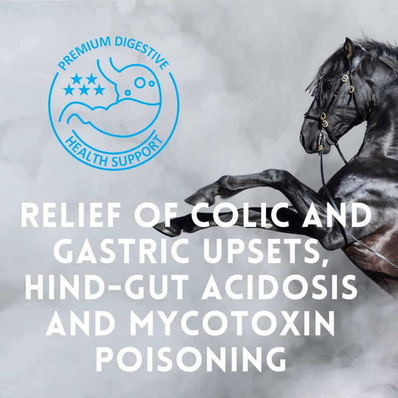Premium Daily Supplement for Horses | Organic Advanced Bio-Nano Technology to Support Digestive Health | Improves Stamina | Immunity and Joint Support | 30 Day Supply | 5 oz - BeesActive Australia
