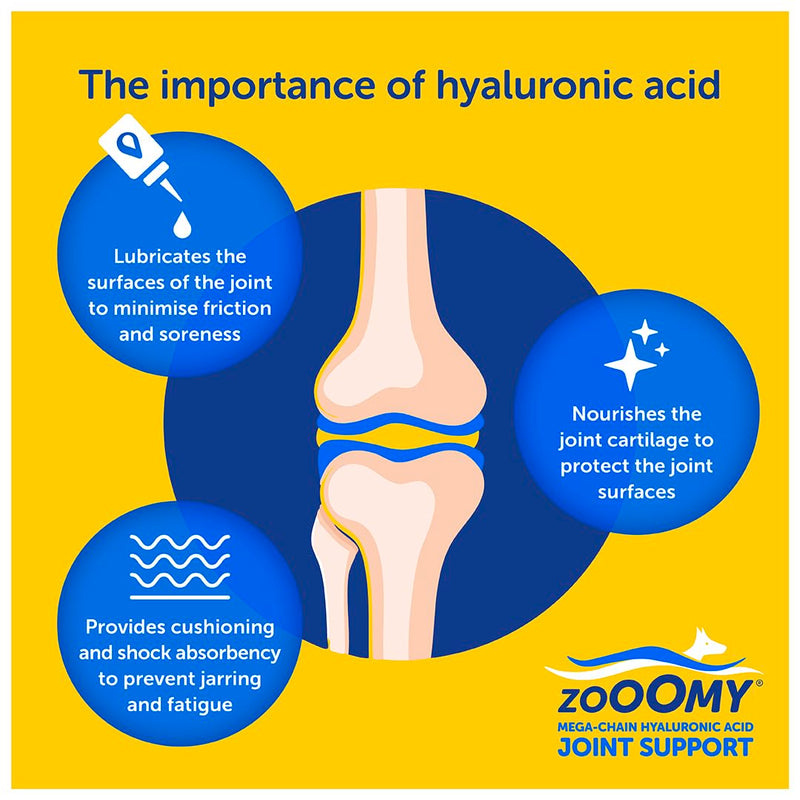 Zooomy Liquid Dog Joint Supplement | Hyaluronic Acid for Hip & Elbow Care | Canine Joint aid | 100ml