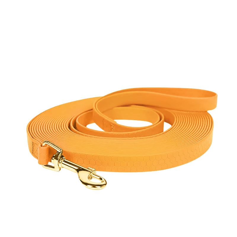 Heavy Duty Recall Great for Training Dog Leash with Swivel Lockable Hook and Comfortable, for Walking, Hunting, Camping, Backyard for Small Medium and Large Dogs Waterproof Black 10FT - BeesActive Australia