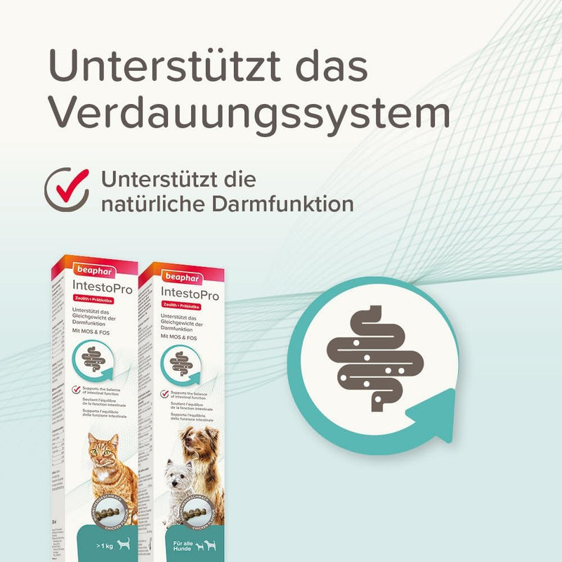 BEAPHAR - IntestoPro Paste for Cats - With Zeolite - With MOS & FOS - Supports the Balance of Intestinal Function - 20 ml - BeesActive Australia