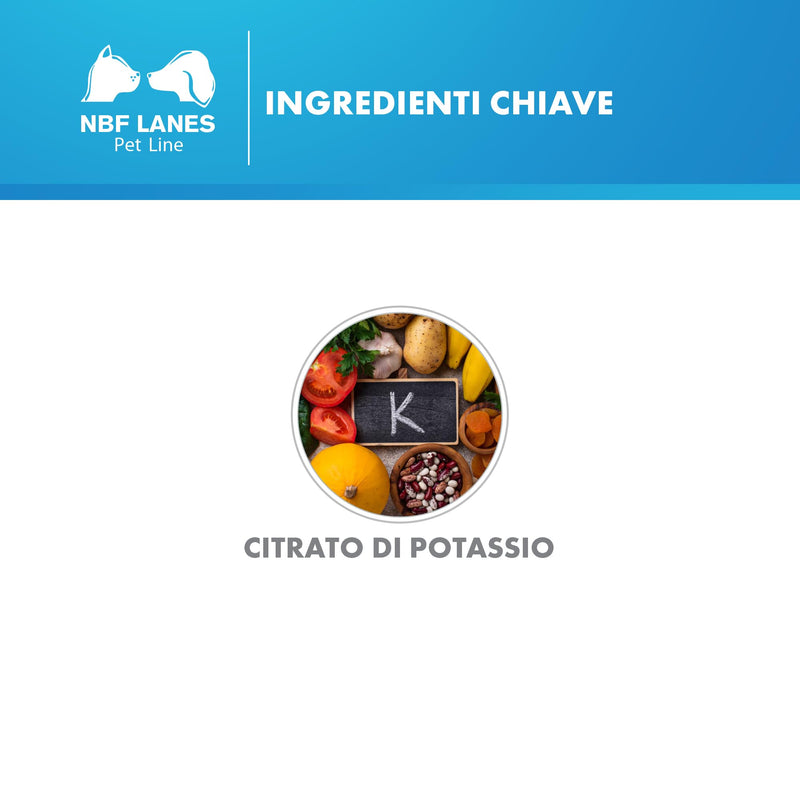 KARENAL PET PASTA 30 G - BeesActive Australia
