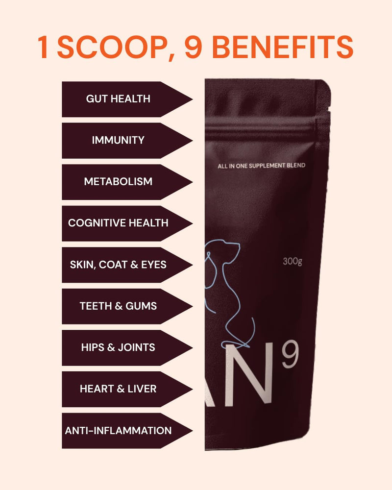 All-in-One Daily Supplement Powder for Dogs