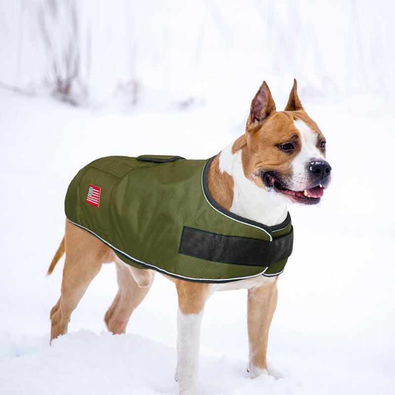BEAUTYZOO Reflective Dog Winter Coat for Small Medium Large Great Dane Dogs,Winter Dog Jacket with Fleece Lining Dog Cold Weather Coat,Oxford Canvas Waterproof Windproof Dog Clothes,Easy Wear Dog Vest XL(Chest Girth 34"-45", Back 24", Neck 24"-29") Green - BeesActive Australia