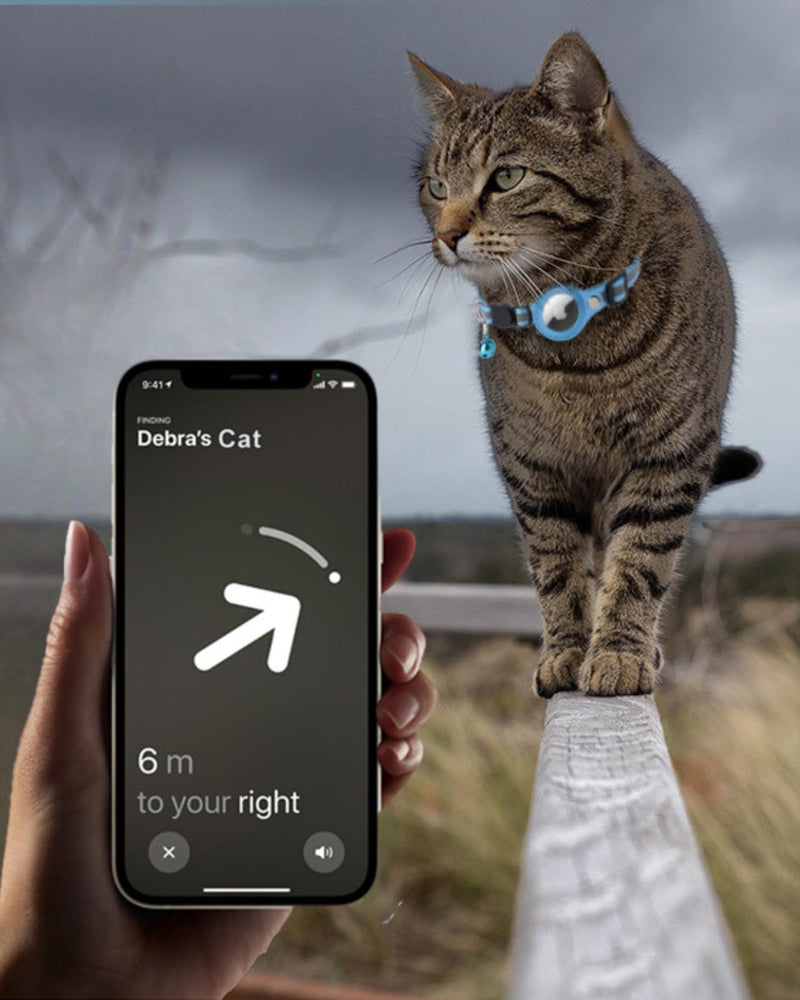 Airtag Cat Collar, Reflective AirTag Cat Collar with AirTag Holder and Bell, GPS Lightweight Tracker Cat Collars, Cat AirTag Collar with Breakaway Safety Buckle (Black) Black - BeesActive Australia