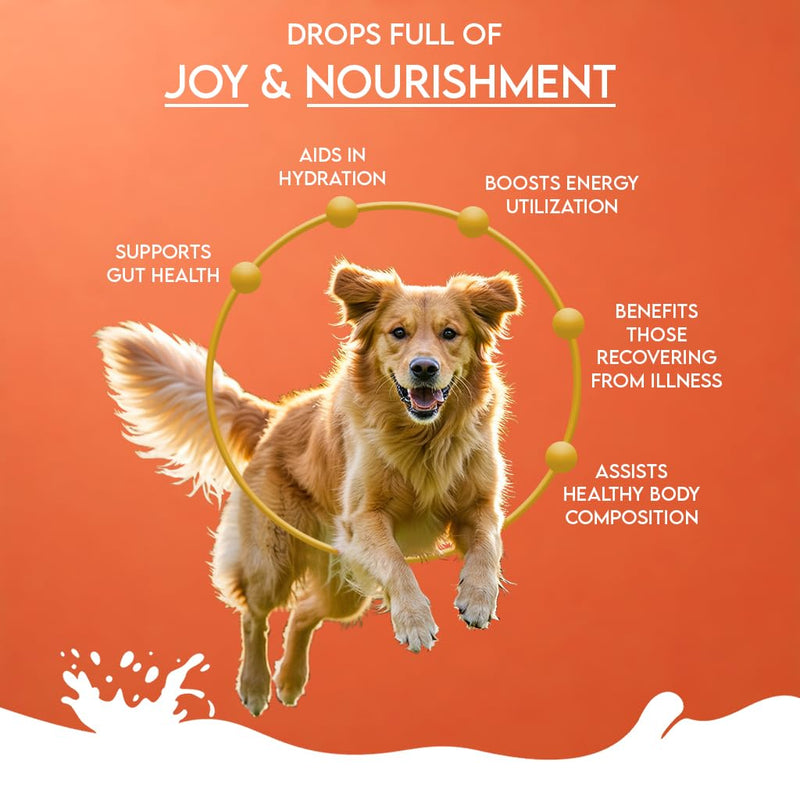 Pawfect Nature's Sip Camel Milk Powder with Papaya, Banana, Broccoli & Flaxseeds for Dogs- Easily Digestible- Pre & Probiotics- Healthy Topper- Low Glycemic- Hydration Support- 90 scoops(450g/15.87oz)
