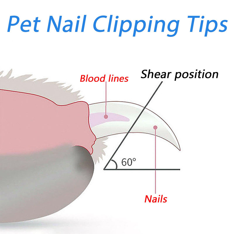 BSITSSS Cat Claw Scissors with Protection, Cat Claw Cutter with 2 mm & 4 mm Hole, Cat Nail Scissors Professional Cat Claw Cutter Cat Nail Clipper for Small Dogs Puppies Cats with File (Blue) Blue - BeesActive Australia