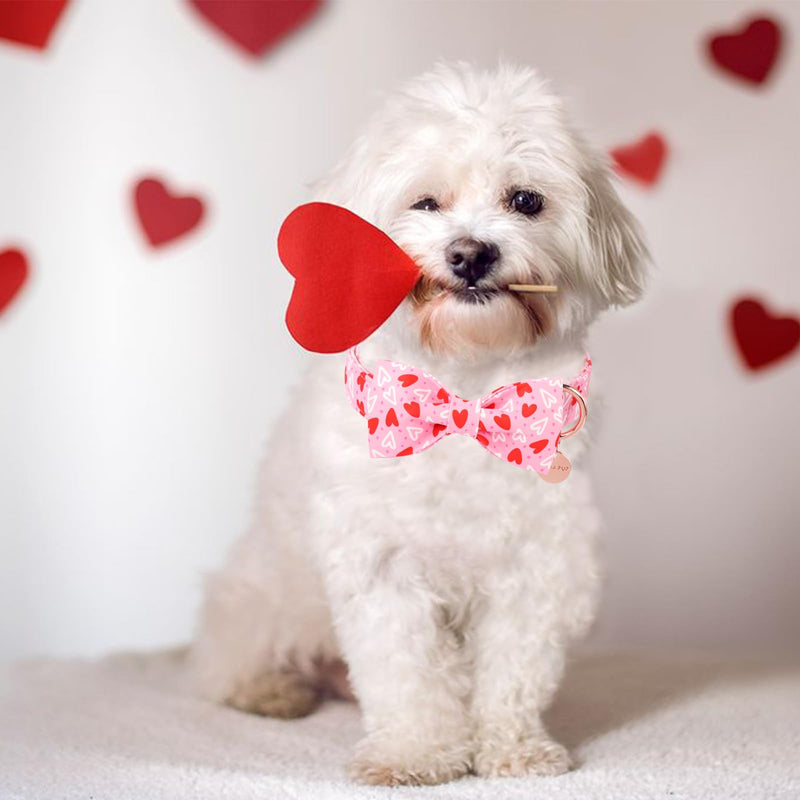 Valentine’s Day Dog Collar with Bow Tie, Red Heart Bowtie Collar with Metal Buckle, Valentine’s Day Gift Pet Collar for Puppy Girl Boy Dog or Cat, Wedding Dog Collar, XS, Neck 8-12in RedWhiteLove-C - BeesActive Australia